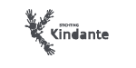 Responsive website UI design Kindante logo