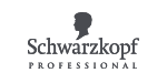 Visueel concept UI website Schwarzkopf Professional logo